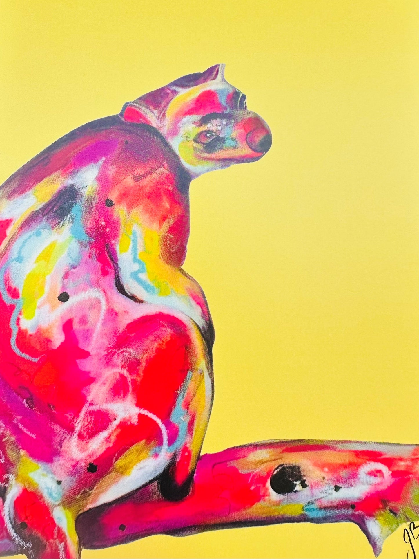 Pack of 4 Cards from the original 'Roo with a View'